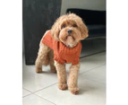 Coco Cable Dog Sweater - Sienna