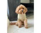 Coco Cable Dog Sweater - Oatmeal