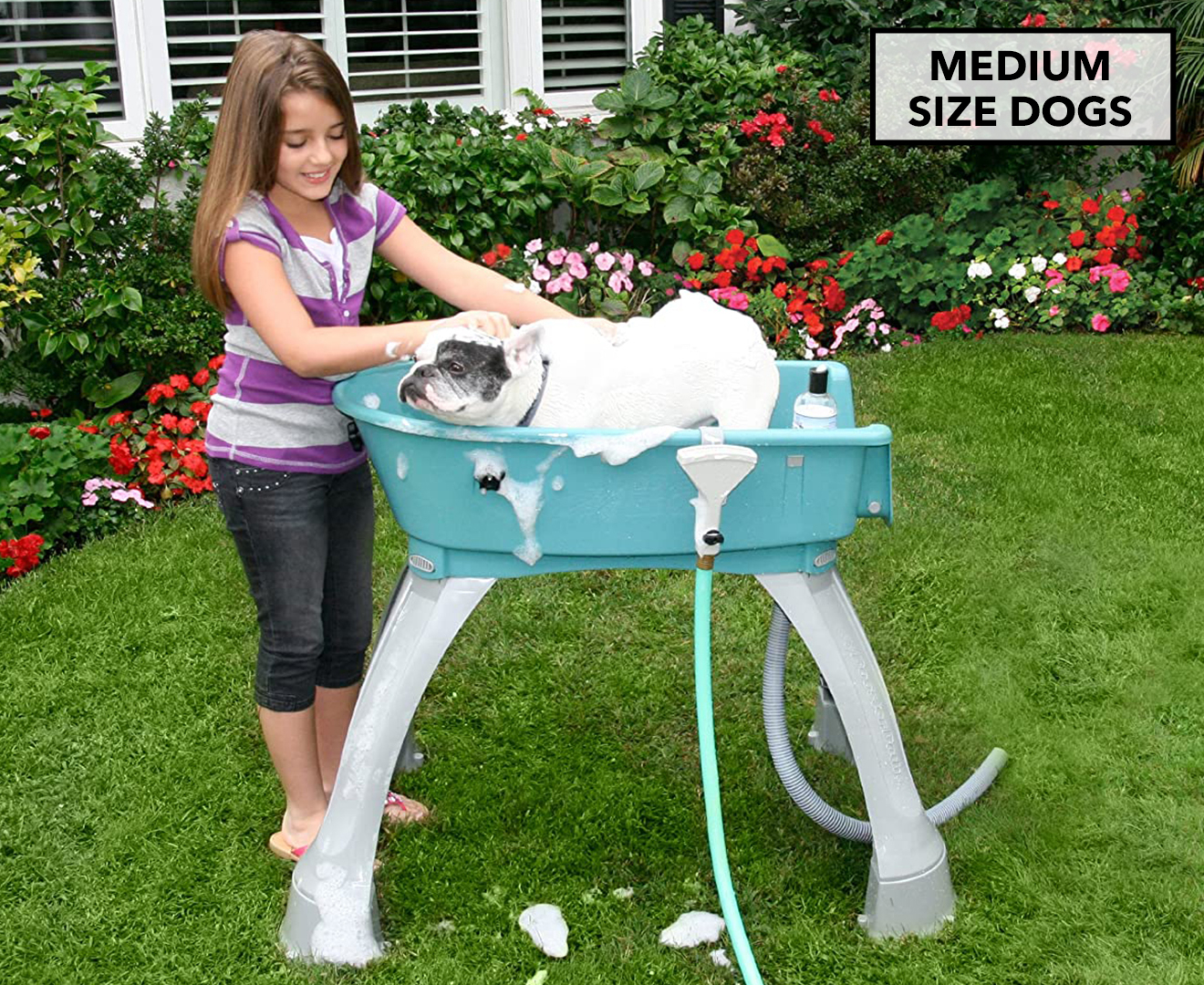 Booster bath elevated pet bathing outlet large