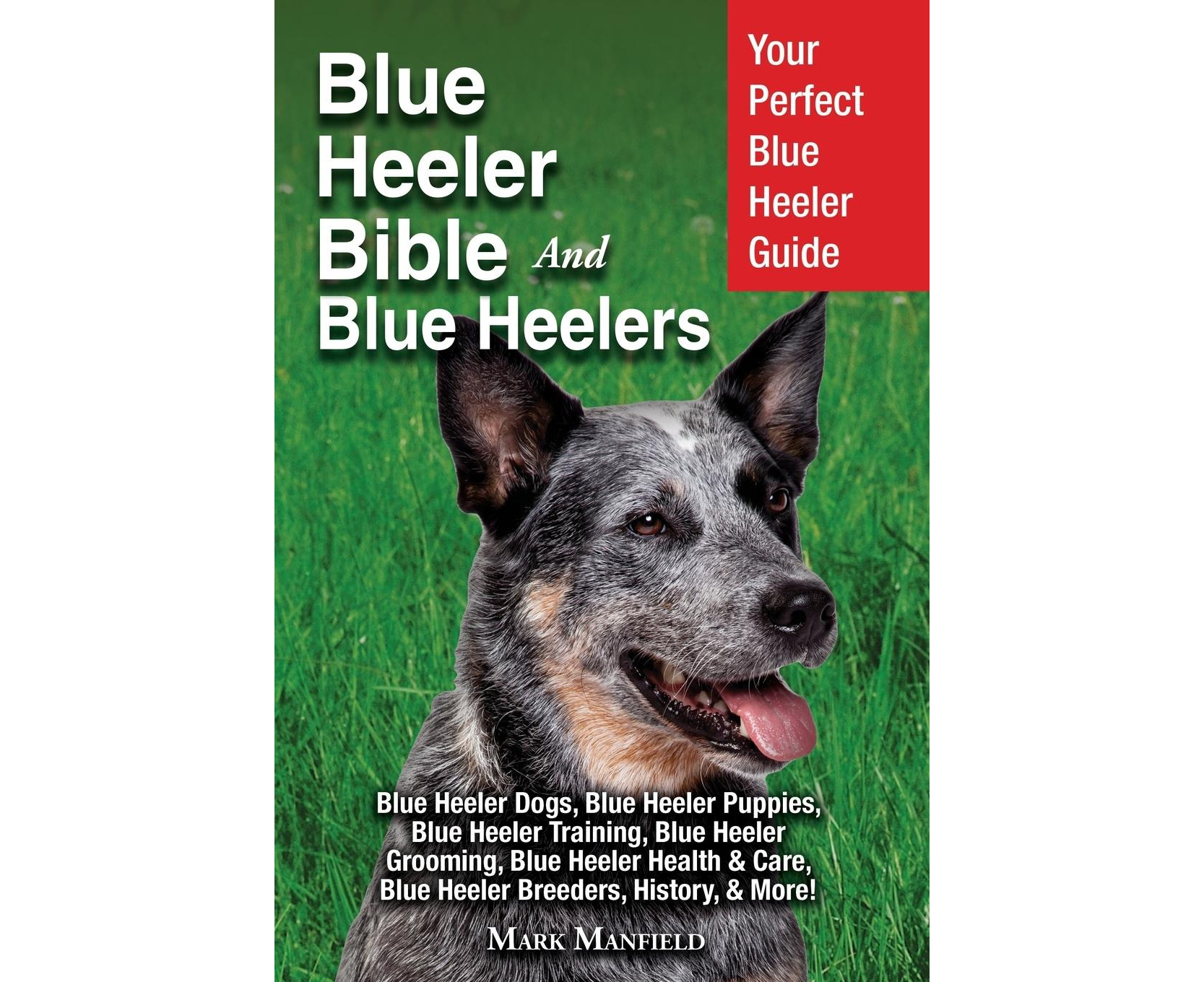 Grooming a best sale blue heeler