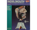 Skilcraft Human Nose Mouth Plastic Model Kit #71339