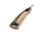 GM Diamond 101 Cricket Bat Size 4