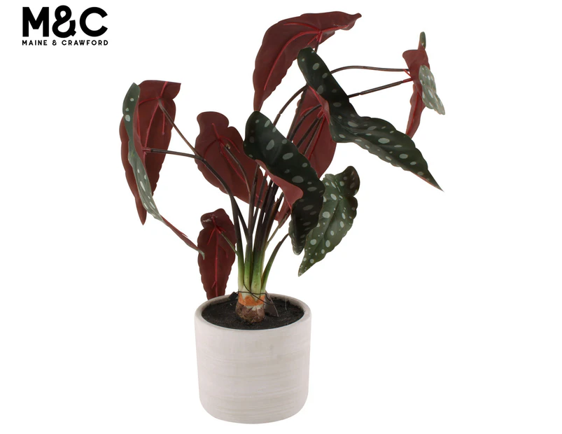 Maine & Crawford 50cm Elephants Ear Artificial Fake Faux Plant In Concrete Pot