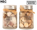 Maine & Crawford 12x7.5cm Mixed Shells In Mason Jar - Randomly Selected