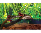 Exo Terra Large Reptile Jungle Vines for Terrariums 15mm x 180cm