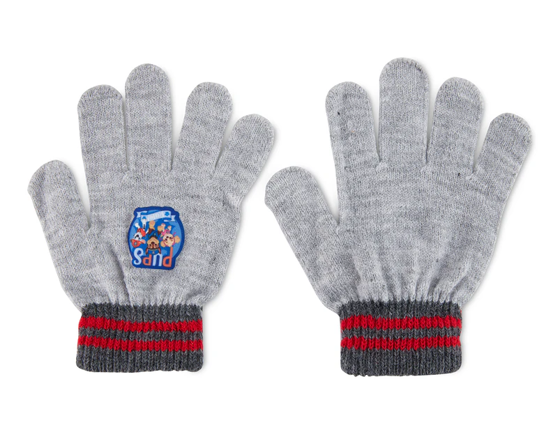 Paw Patrol Kids' Knit Gloves - Grey/Multi
