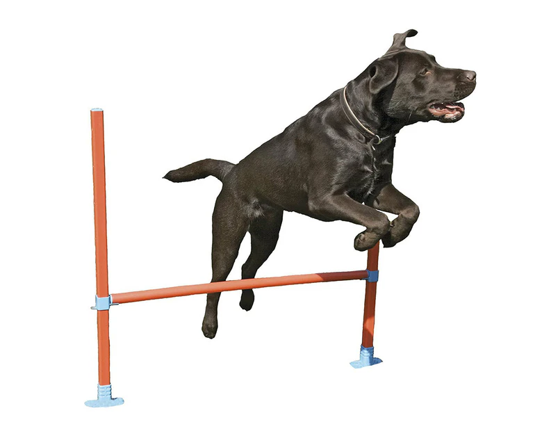 Rosewood Dog 32-82cm Agility Hurdle Pet Bar Training Jump/Fun Exercise Play Toy