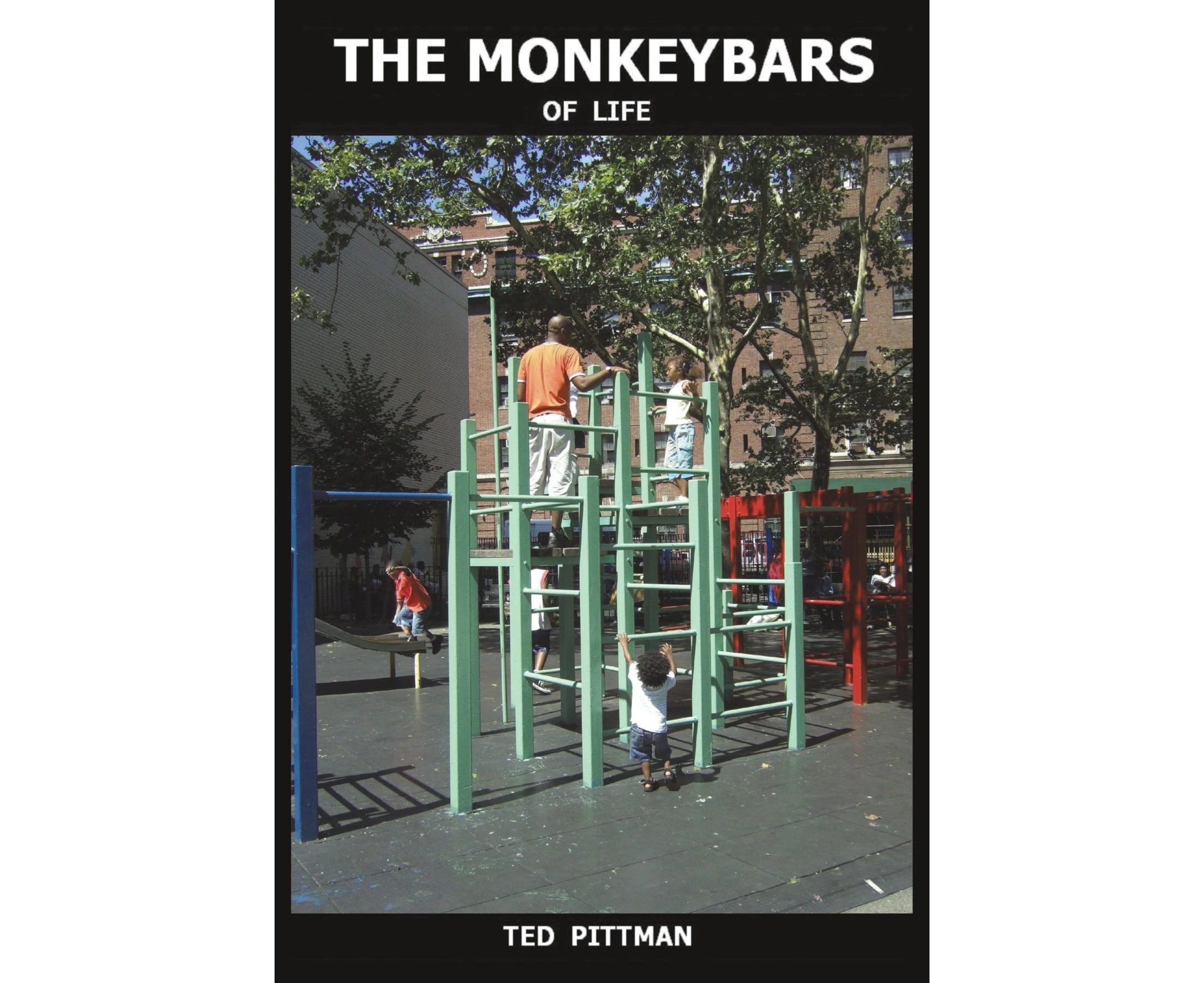 The Monkeybars of Life