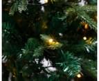 West Avenue Prelit 2.1m / 1647 Tips Christmas Tree LED LIghts 5