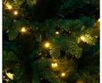 West Avenue Prelit 2.4m / 2663 Tips Christmas Tree LED Lights