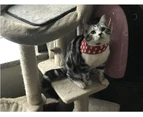 (L, Red) - Stock Show Pet Cat Triangle Bibs Scarf with Botton Cute Fashion Neckerchief Collar Necktie for Kitten/Kitty/Puppy