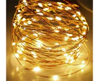 2Pack 10M Battery Powered Copper Wire String Fairy Xmas Party Lights Warm Colour