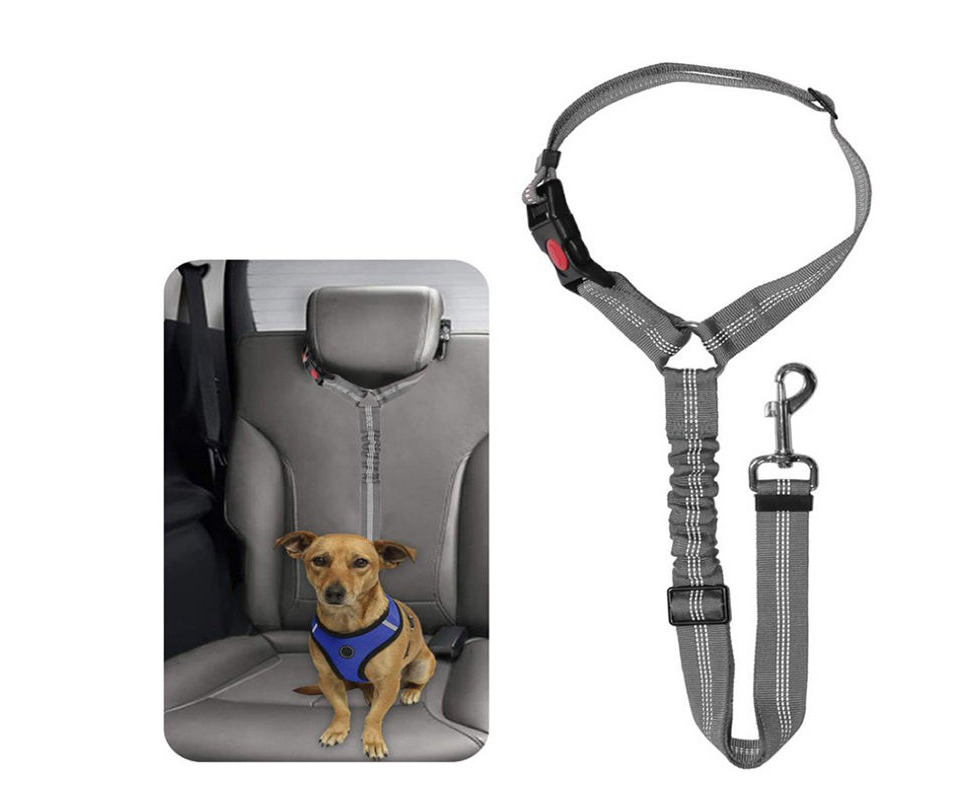 dog seat belt over headrest