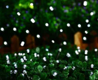 Lexi Lighting 100 LED Solar Powered Fairy Light - White