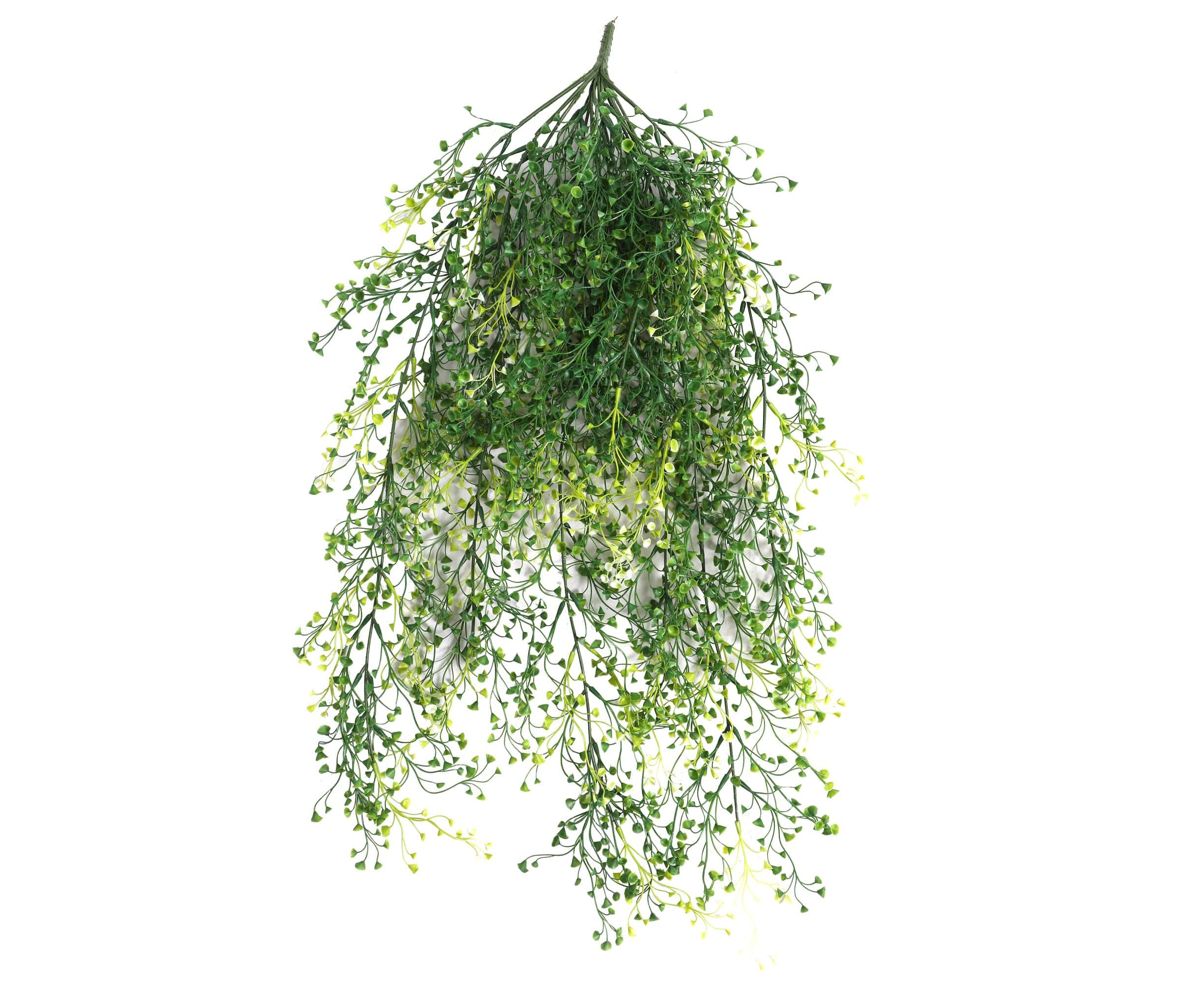 Hanging Pearls UV Resistant 90cm - Designer Plants®