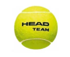 Head Team Tennis Balls (Pack of 12) (Green) - RD1136