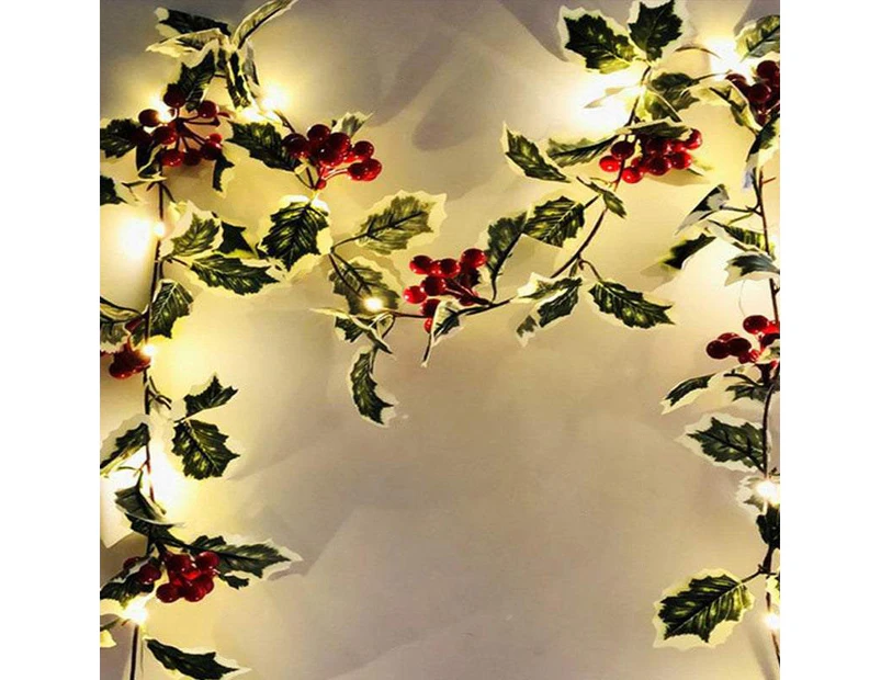 Indoor String Lights 2M 20Led Christmas Berry Garland String Light Battery Powered Led String Light