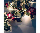 Indoor String Lights 2M 20Led Christmas Berry Garland String Light Battery Powered Led String Light