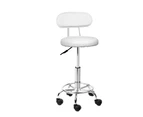 Artiss Salon Stool Swivel Barber Chair Backrest Hairdressing Hydraulic Height