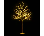 Jingle Jollys Christmas Tree 1.5M 304 LED Lights Xmas Tree Decor Warm White