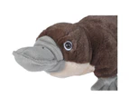 Cuddlekins Platypus 12"