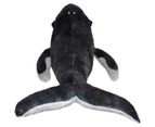 Cuddlekins Humpack Whale 15"