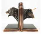 Wallstreet Stock Market Bull and Bear Head Bookends Bronze Electroplated Figurine Investors Gifts Money Managers