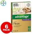 Advantage Flea Treatment For Cats 4kg+ 6pk 1