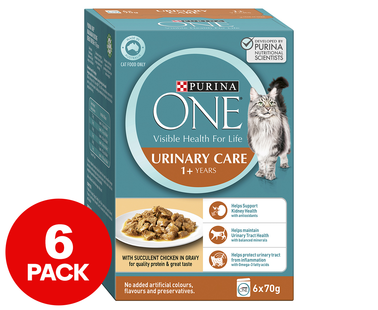 purina one cat food kidney