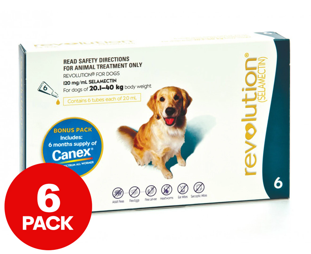 Revolution for Dogs 20.1-40 kgs - 6 Pack - Teal