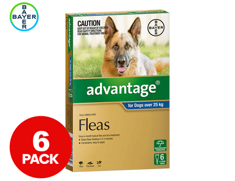 Advantage Flea Treatment For Dogs 25kg+ 6pk