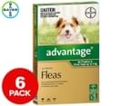 Advantage Flea Treatment For Dogs 0-4kg 6pk 1