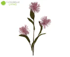 Florabelle Vixen & Velvet Wispy Flower Ball Stem - Pink