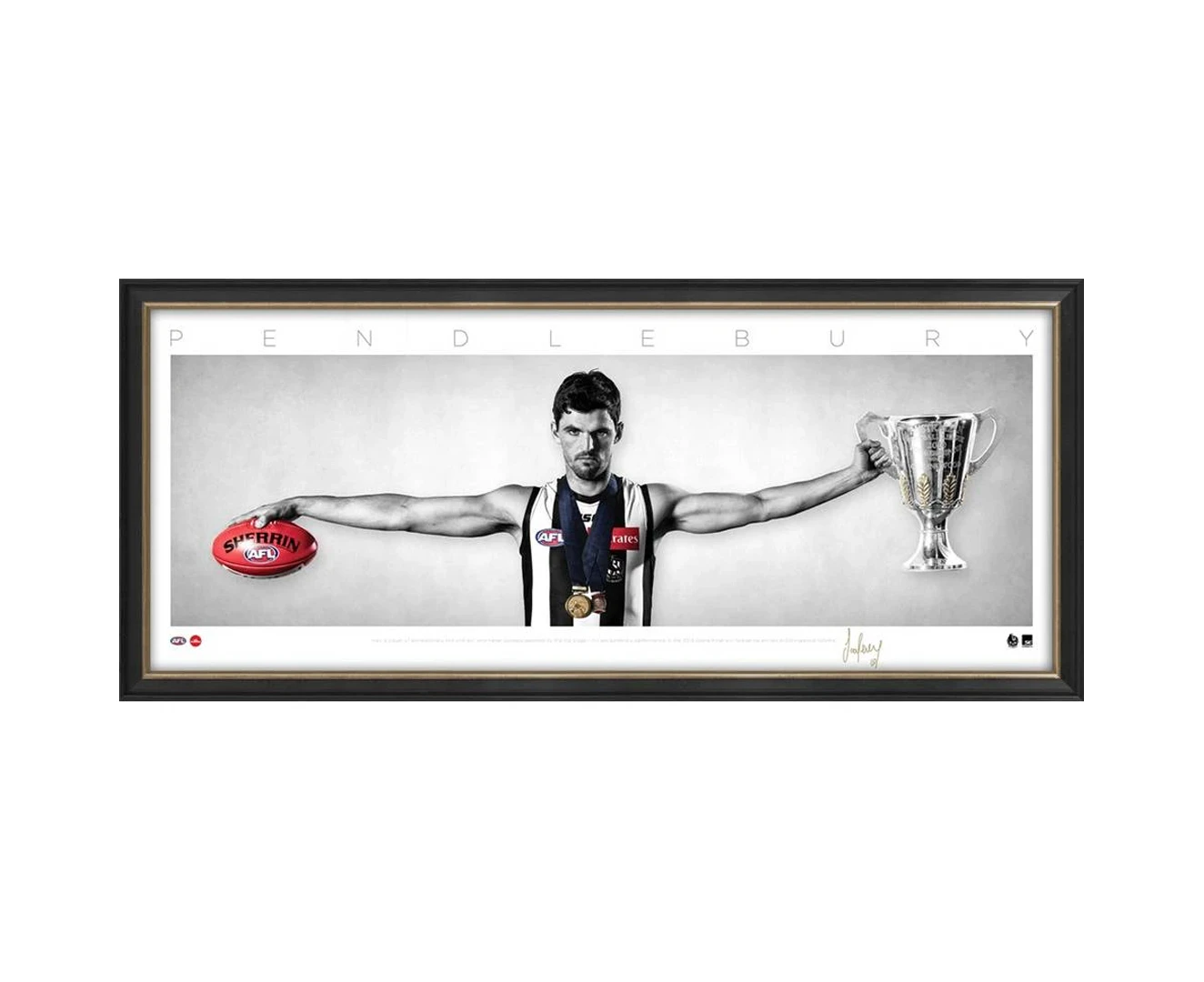 Scott Pendlebury Signed Collingwood Mini Wings Official Afl Print Framed New - 3744