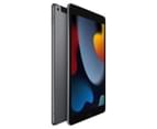 Apple iPad 10.2-inch Wi-Fi + Cellular 256GB (9th Generation) - Space Grey 2
