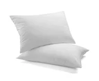Royal Comfort Royal Comfort Goose Down Feather Pillows 1000GSM 100% Cotton Cover - Twin Pack 50 x 75 cm White