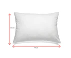 Royal Comfort Royal Comfort Luxury Duck Feather & Down Pillow Twin Pack Home Set 50 x 75 cm White