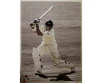 Michael Hussey - Signed Canvas Print