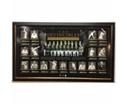 Cricket - The Invincibles 1948 Framed Limited Edition Sportsprint