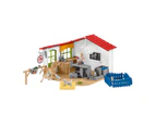 Schleich - Veterinarian Practice With Pets Animal Playset