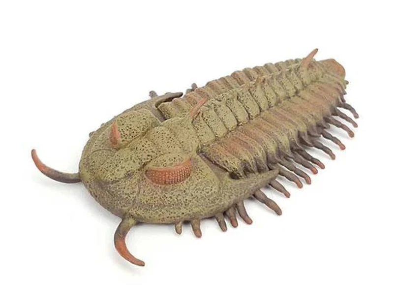 Collecta - Redlichia Rex Trilobite 88906