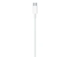 Apple Lightning to USB-C Cable (1m)