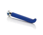 Risque G 10 Function Blue Vibrator