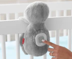 Skip Hop Cry Activated Soother Sloth Toy