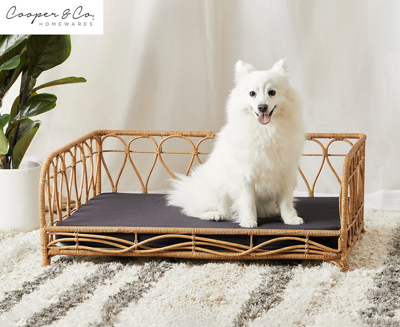 Fetch oasis outlet rattan dog bed