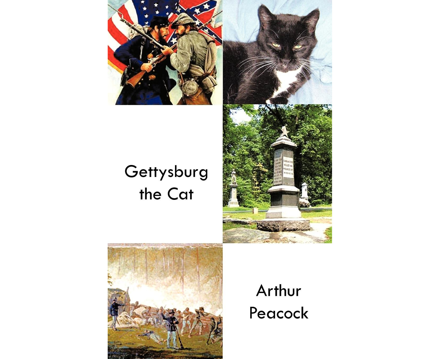 Gettysburg The Cat Au