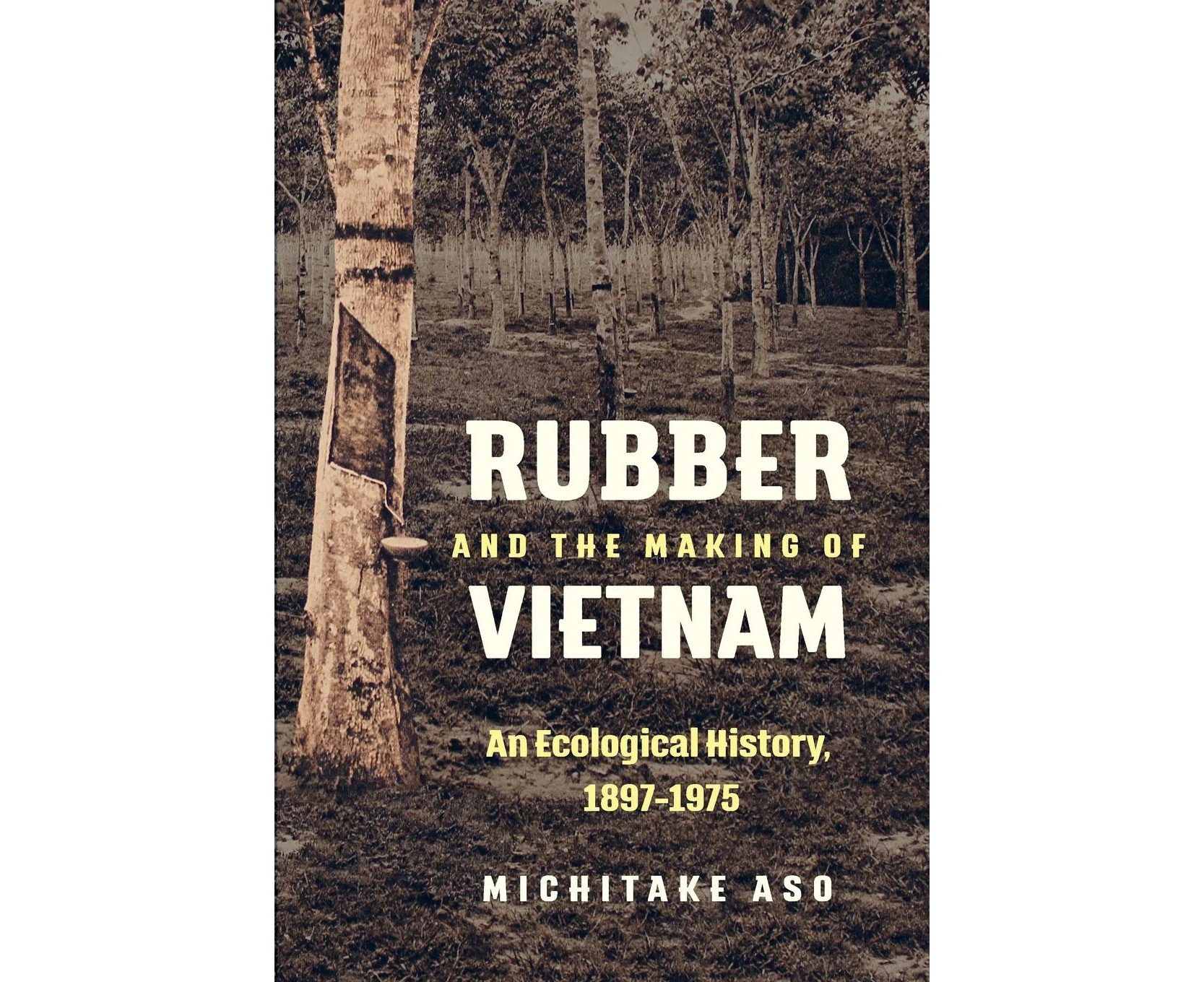 Rubber and the Making of Vietnam: An Ecological History, 1897-1975 (Flows, Migrations, and Exchanges)