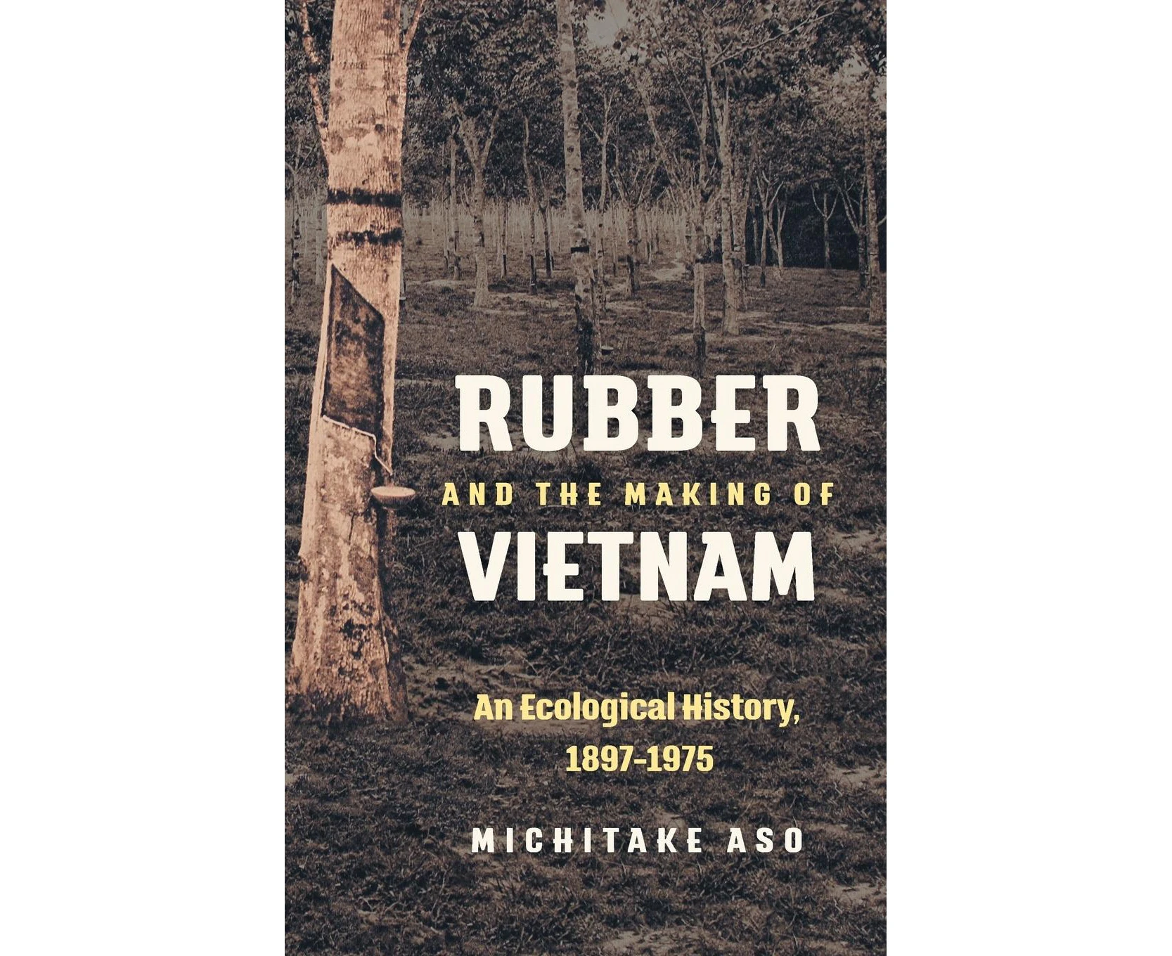 Rubber and the Making of Vietnam: An Ecological History, 1897-1975 (Flows, Migrations, and Exchanges)