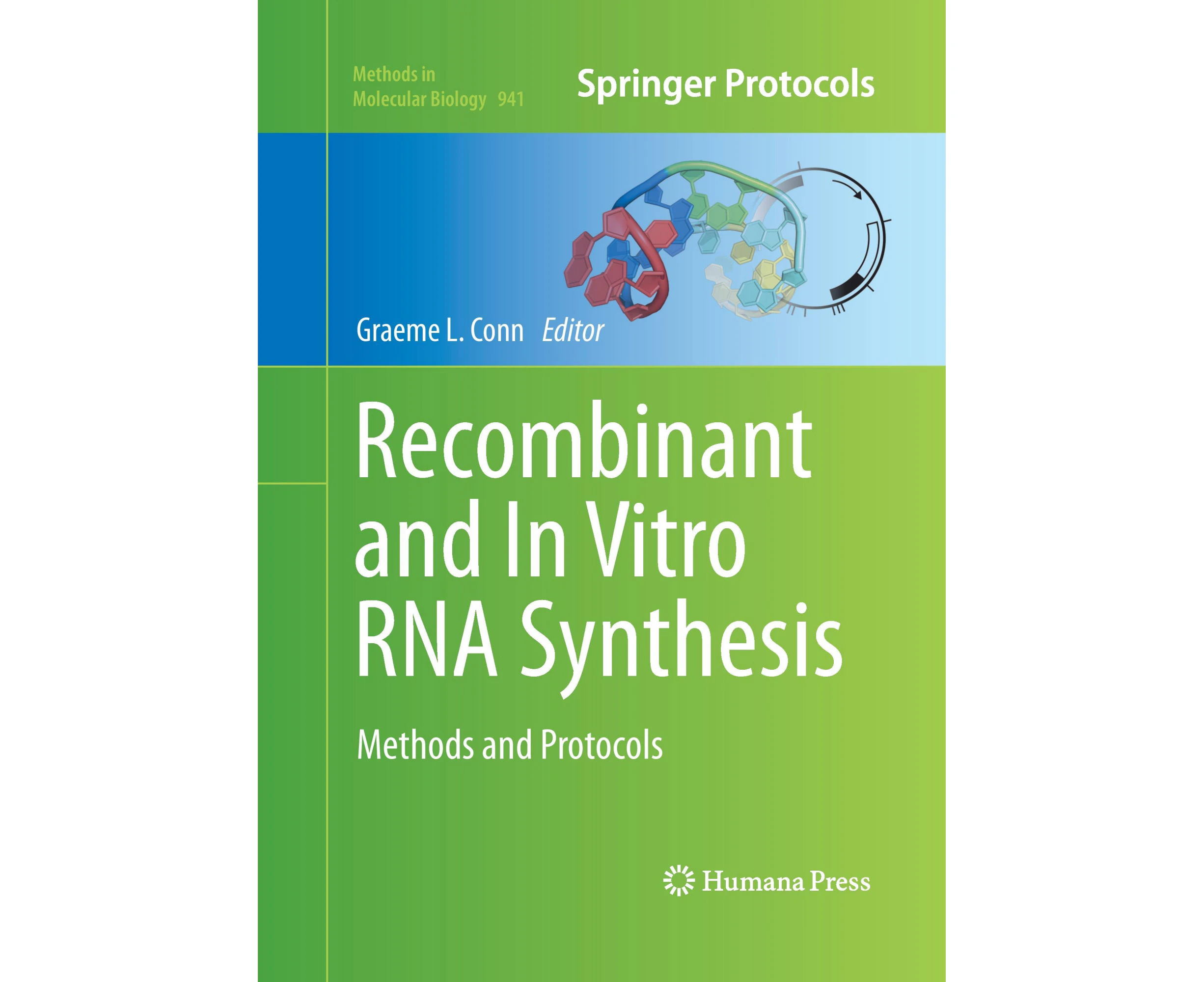 Recombinant and In Vitro RNA Synthesis: Methods and Protocols (Methods in Molecular Biology)