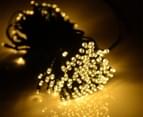 Lexi Lighting 7.9m 100 LED Fairy Light Chain - Warm White 2